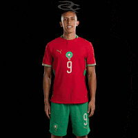 Fifa World Cup Morocco GIF by Respective