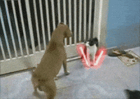 GIF by Demic