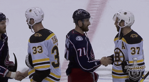 ice hockey sport GIF by NHL