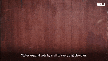 How the Gov't Can Properly Address "Vote By Mail"