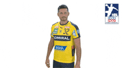 Handball-Bundesliga Finger GIF by LIQUI MOLY HBL
