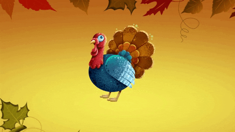 Fall Thanksgiving GIF by toyfantv