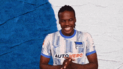Bundesliga Berlin GIF by Hertha BSC