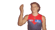 Melbourne Demons Wave Sticker by Melbournefc