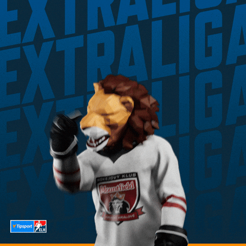 Hockey Hokej GIF by Tipsport extraliga