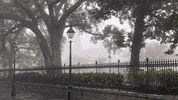 alegalforce justice law lawyer legal GIF