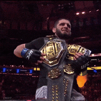 Martial Arts Ufc GIF