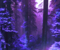 Last Dance GIF by Dua Lipa