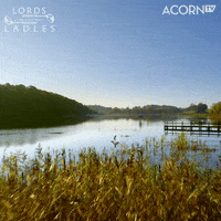 United Kingdom Relax GIF by Acorn TV