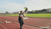 GIF by Taskmaster Portugal