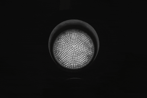 GIF by Ticora Davis, Esq.