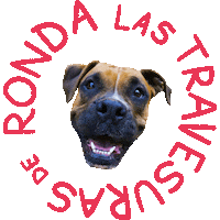 alextecuenta swipe up alex desliza alex te cuenta Sticker
