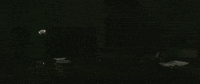 code coding GIF by Monstercat