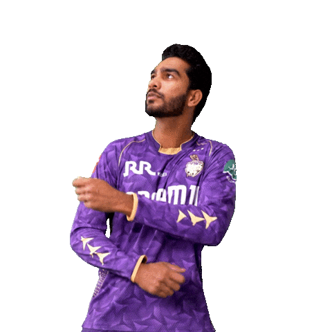 Kolkata Knight Riders Ipl Sticker by Knight Riders Sports