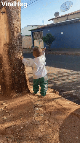 Cute Kid Waves at Garbage Collectors