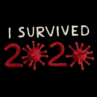 New Year Claymation GIF by cintascotch