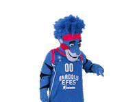 Euro League Basketball Sticker by Anadolu Efes SK