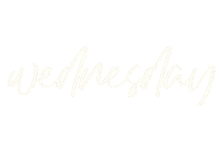 Day Wednesday Sticker