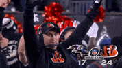Cincinnati Bengals Football GIF by Bengals