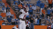 Celebrate College Football GIF by Arkansas Razorbacks