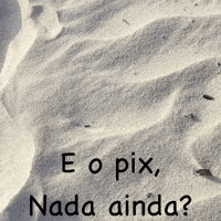 Alleff_allan pix e o pix GIF