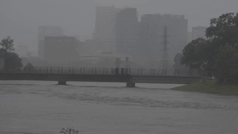 Climate Change Water GIF by DIIMSA Stock