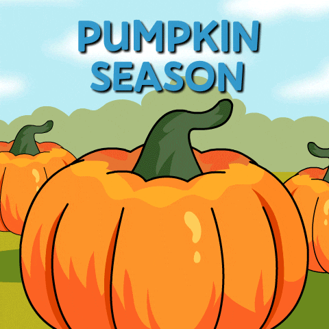 Its Fall GIF by Ordinary Frends