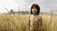 super bowl disney GIF by Disney's The Jungle Book