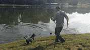 GIF by Raw Dog Dan