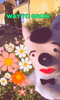 WandaPetunia congratulations grow wanda petunia beefy parisian pig GIF