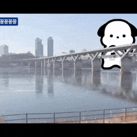 Dance Cat GIF by GONRYON._.O