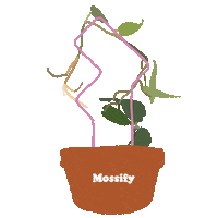 Fun Love Sticker by Mossify