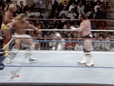 Survivor Series Hercules GIF by WWE