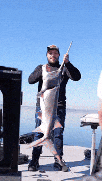 Fishing Jay GIF by America's Outdoor Adventure Park