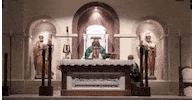 Bis GIF by Blessed is She