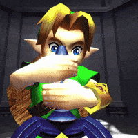 The Legend Of Zelda Link GIF