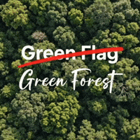Red Flag Couple GIF