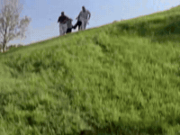 the mystery files of shelby woo nicksplat GIF