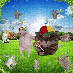Happy Cat GIF by Respective