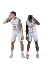 Crowd Boris Sticker by Swiss Basketball