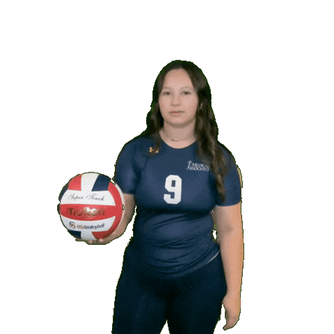 Womens Volleyball Sticker by Clarke University