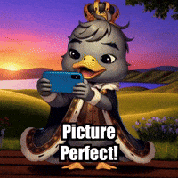 Social Media Photography GIF by sirduckbeth