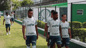 hang loose GIF by SE Palmeiras