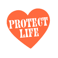 rhardman women babies humanrights prolife Sticker