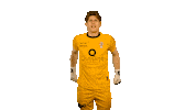 Max Van Herk Sticker by TOP Oss