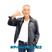 Promibb Promibigbrother Sticker by sat1