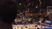 Excited College Sports GIF by Pitt Panthers