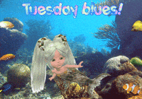 Expressions Mermaids GIF
