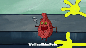 season 9 GIF by SpongeBob SquarePants