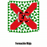 Flag Spain GIF by Formación Ninja